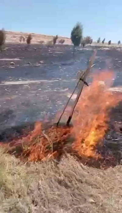 Mardin’de çıkan ot yangını söndürüldü
