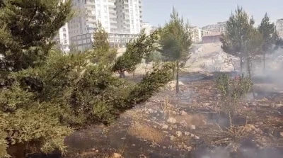 Mardin&rsquo;de farklı noktalarda &ccedil;ıkan yangınlara m&uuml;dahale s&uuml;r&uuml;yor
