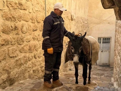 Mardin’de ’kadrolu’ eşekleri emekli edecek proje hayata geçiyor
