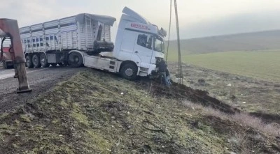 Mardin&rsquo;de kontrolden &ccedil;ıkan tır yol kenarına savruldu