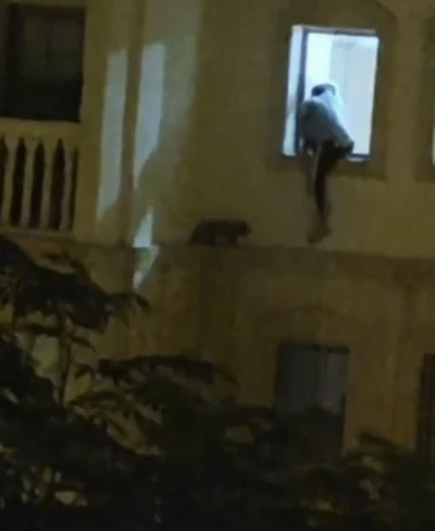 Mardin&rsquo;de mahsur kalan kedi kurtarıldı

