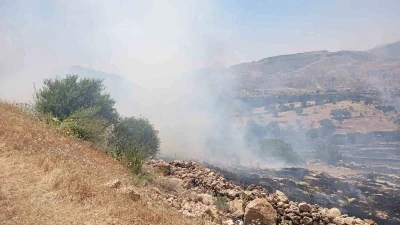 Mardin&rsquo;de ormanlık alanda &ccedil;ıkan yangına m&uuml;dahale ediliyor
