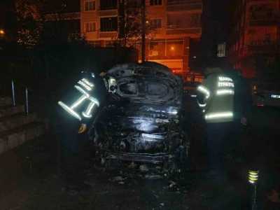 Mardin’de park halindeki otomobilde çıkan yangın söndürüldü