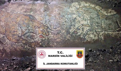 Mardin’de &quot;Anadolu Mirası&quot; operasyonunda 1500 yıllık mozaik ele geçirildi
