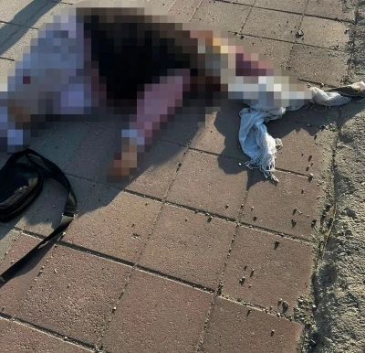 Mardin&rsquo;de tırın &ccedil;arptığı yaşlı kadın hayatını kaybetti
