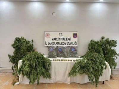 Mardin’de uyuşturucu operasyonu: 1 tutuklama
