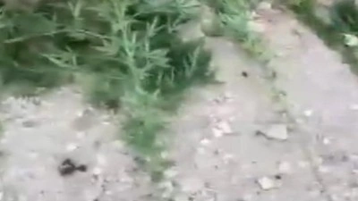 Mardin’de uyuşturucu operasyonunda 3 gözaltı