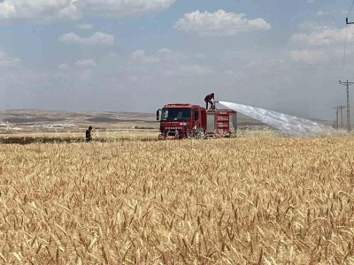 Mardin&rsquo;de yaklaşık 300 d&ouml;n&uuml;m ekili alan alevlere teslim oldu

