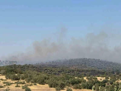 Mardin’de yangına müdahale eden ekipler kaplumbağalara su verdi
