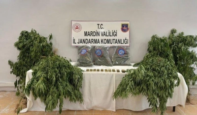 Mardin Jandarma’dan Uyuşturucu Operasyonu