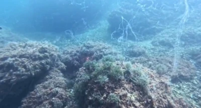 Marmara Denizi’nde yeni müsilaj alarmı
