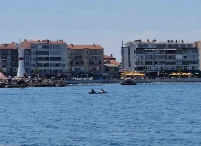 Marmara&rsquo;nın s&uuml;rpriz misafirleri: İki yunus teknenin yanında g&ouml;r&uuml;nt&uuml;lendi
