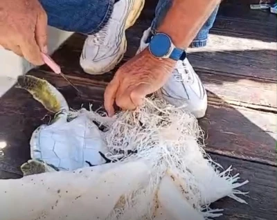 Marmaris Körfezi’nde çuvala dolanan deniz kaplumbağasını çevreciler kurtardı
