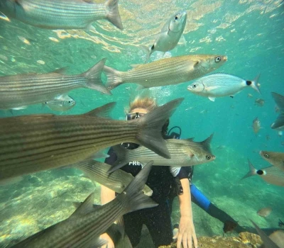 Marmaris’te dalış turizmine yoğun ilgi
