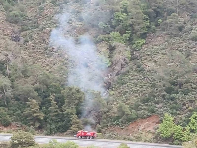 Marmaris&rsquo;te yangın sezonu &ouml;ncesi temizlik &ccedil;alışmaları s&uuml;r&uuml;yor
