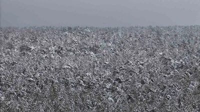 Mayıs ayında karla kaplanan ormanların eşsiz manzarası hayran bıraktı
