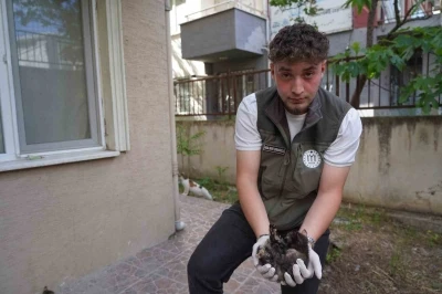 Mazgalda sıkışan kedi yavruları kurtarıldı
