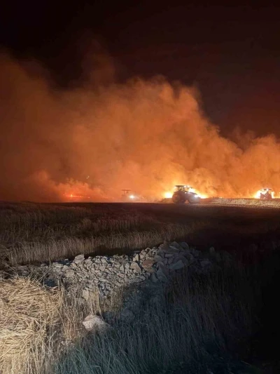 Mazıdağı&rsquo;nda d&uuml;n gece &ccedil;ıkan yangında ekili araziler zarar g&ouml;rd&uuml;
