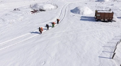 Mazıdağı&rsquo;nın karlı yollarında zorlu mesai: Kadınlar sırtlarında saman taşıyarak kışa meydan okuyor
