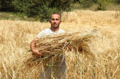 Megakenti bırakıp Ordu’da  tarıma yöneldi: 200 dönüm atıl araziyi tarıma kazandırdı
