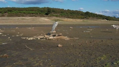 Megakentin en büyük barajı alarm veriyor
