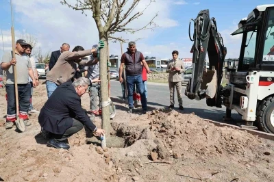 Melikgazi, ağa&ccedil;landırma &ccedil;alışmaları ile geleceğe daha yeşil bir miras bırakıyor
