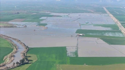 Menderes taştı, y&uuml;zlerce d&ouml;n&uuml;m sular altında kaldı
