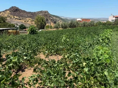 Menemen&rsquo;de su hasreti &ccedil;eken Ayvacık k&ouml;y&uuml;ne asırlık hizmet
