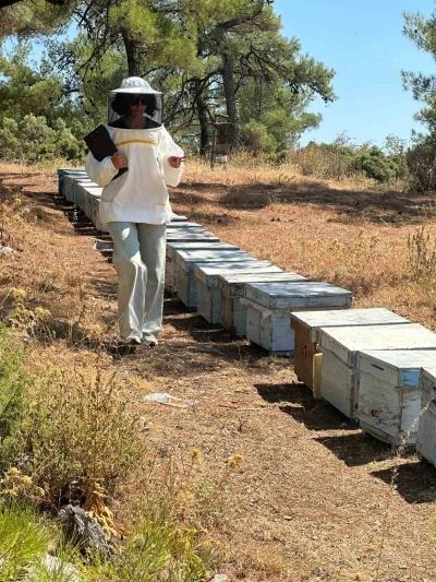 Menteşe’de arı kovan destekleme tespit çalışmaları devam ediyor
