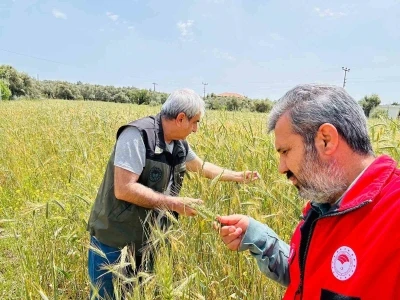 Menteşe&rsquo;de ekipler sahada hastalık ve s&uuml;ne denetiminde
