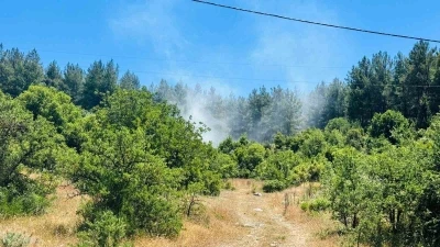 Menteşe&rsquo;de orman yangını
