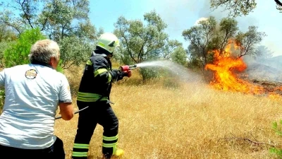 Menteşe&rsquo;de zeytinlik yangını
