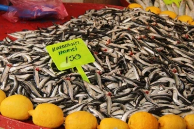 Menteşe pazarında hamsi ucuzladı
