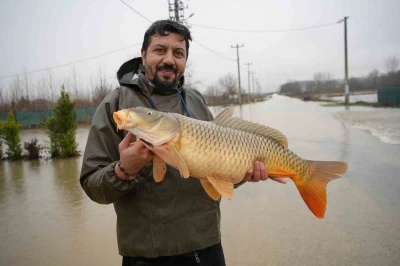 Meri&ccedil; Nehri&rsquo;nin taşmasıyla bazı vatandaşlar tarlasında canlı sazan balığı yakaladı
