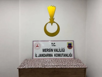 Mersin&rsquo;de 7 bin 256 sentetik hap ele ge&ccedil;irildi, 1 tutuklama
