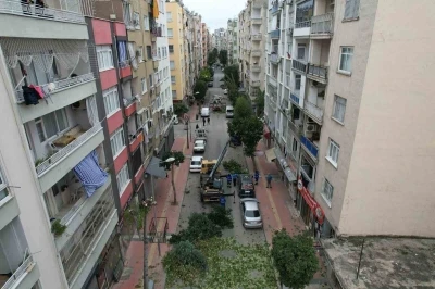 Mersin&rsquo;de ağa&ccedil;lara kış bakımı
