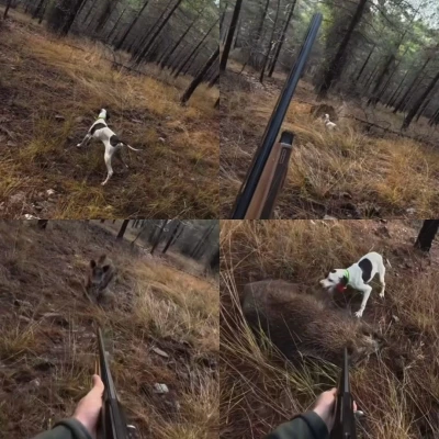 Mersin&rsquo;de av sırasında domuz saldırısı kamerada
