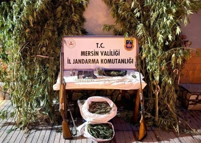 Mersin’de bahçelerine kenevir eken 3 şüpheli yakalandı
