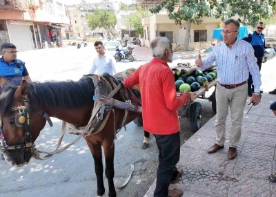 Mersin&rsquo;de bitkin d&uuml;şen at yeni yuvasına kavuştu
