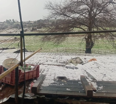 Mersin&rsquo;de dolu: Ekili alanlar zarar g&ouml;rd&uuml;
