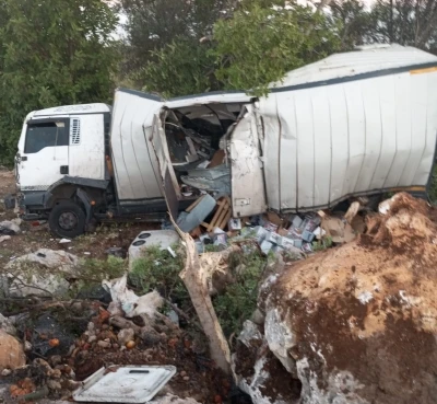Mersin’de kamyon kazası : 2 yaralı
