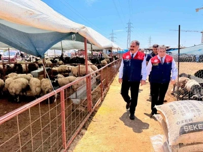 Mersin&rsquo;de Kurban Bayramı &ouml;ncesi satış noktalarında sıkı denetim
