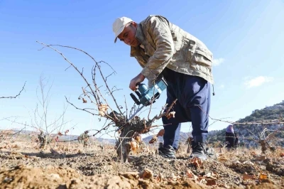 Mersin&rsquo;de organik tarım desteğiyle &uuml;retim doğallaşıyor
