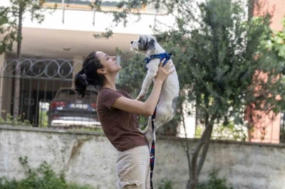 Mersin&rsquo;de sahiplendirme kampanyasıyla bin 927 k&ouml;pek yeni yuvasına kavuştu

