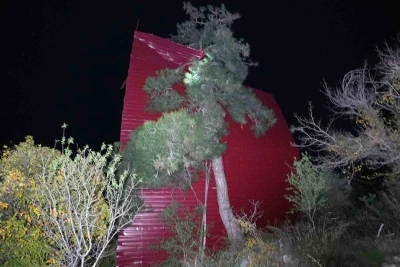 Mersin&rsquo;de şiddetli r&uuml;zgar &ccedil;atıyı u&ccedil;urdu, asırlık meşeyi devirdi
