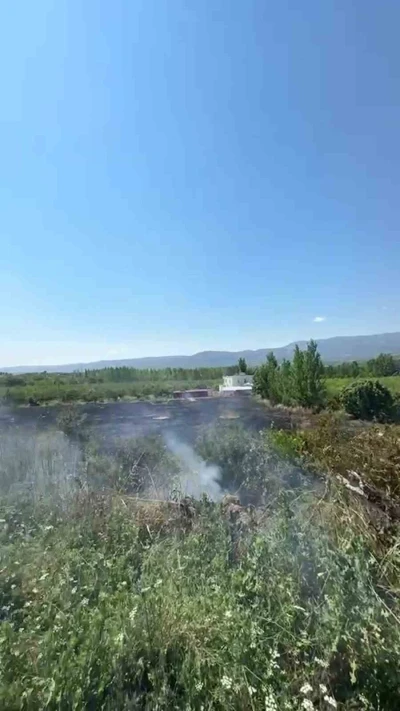 Mersin Mut&rsquo;ta yangın: 15 d&ouml;n&uuml;m bah&ccedil;e zarar g&ouml;rd&uuml;
