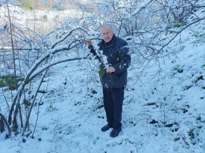 Mevsiminde yağan kar fındık &uuml;reticisini sevindirdi
