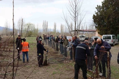 Meyve fidanı satışı 30 Mart&rsquo;ta yapılacak
