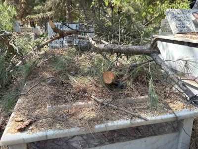 Mezarlıkta budanan ağaçlar kabirlere zarar verdi
