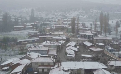 Mihalıc&ccedil;ık beyaza b&uuml;r&uuml;nd&uuml;
